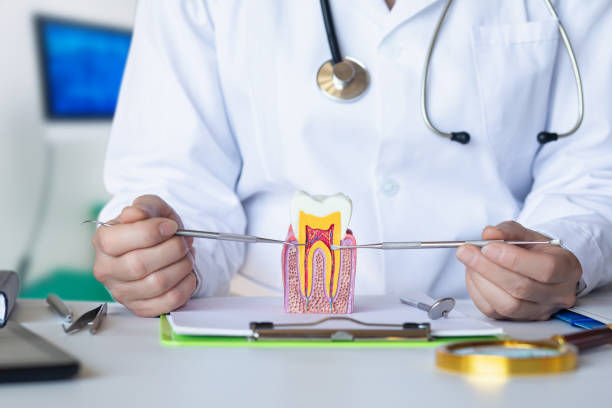 Best Emergency Orthodontic Repairs in South Amherst, OH